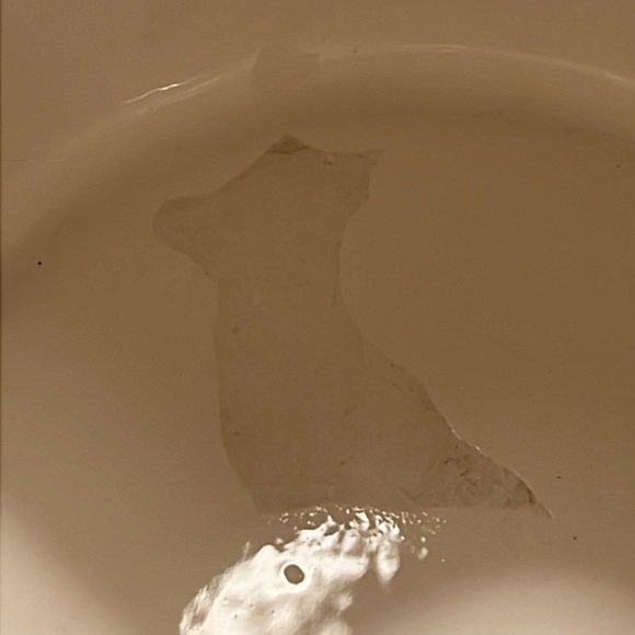 RAE DUNN “Home” Teapot Homeline Collection - Picture 9 of 9